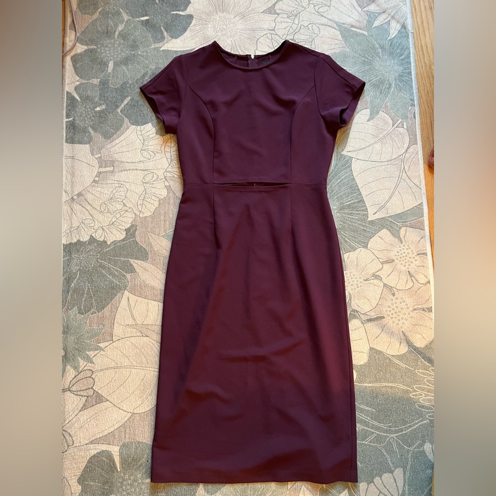 Babaton burgundy dress